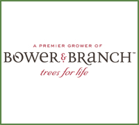 bower and branch logo